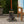 Bear Umbrella Base