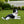 Outdoor Garden Border Collie Dog Statue Greeter