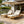 Teak Finish Acacia Wood Chaise Lounge with 4-Inch Cushion