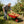 Steel Tray Wheel Barrow Trolley
