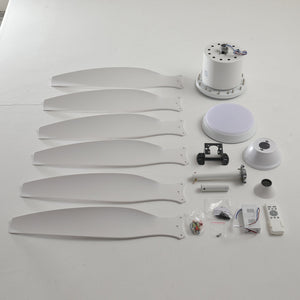 6 PCS ABS Blades 56" Ceiling Fan With Light Kit