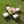 All Weather 5-Piece Patio Dining Table Set