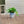 Flowerpot With Drainage Hole (Set of 2)