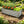 Galvanized Raised Garden Bed, 4' x 2' x 1'