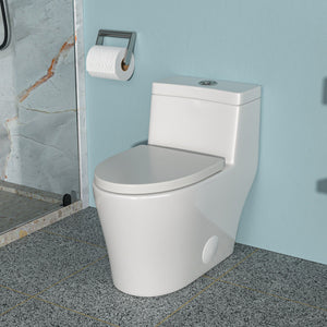 1 Piece Toilet, Dual Flush, Soft Closing Seat - White