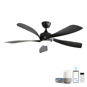 Ceiling Fan with DC Motor and Integrated Light