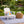 4 Pack Outdoor Lumbar Pillow with Inserts - Ocean Coral
