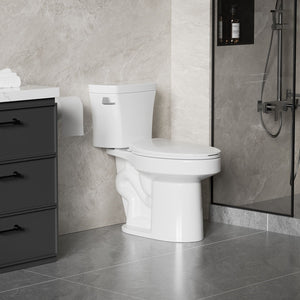 Gloss 2 Piece Toilet With 1.28 Gpf Tornado Flush, Rimless Bowl, Soft Closing Seat - Gloss White