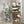 Plant Stand Indoor With Grow Light, 8 Tiered Tall Indoor Plant Shelves For Multiple Plants - Walnut / Black