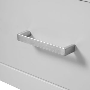 Bathroom Vanity With Integrated Undermount Ceramic Sink, 2 Doors And 1 Drawer, Soft Close Hinges