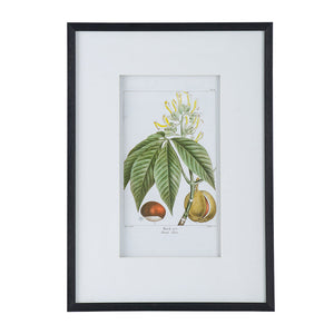 19.7x27.6 Botanical Wall Arts, Set of 2