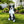 Outdoor Garden Border Collie Dog Statue Greeter