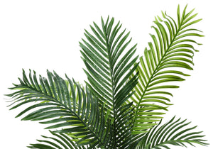 47" Tall Artificial Palm Tree - Indoor Faux Plant in Black Pot