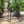 Metal Garden Arch with Gate and Planter for Climbing Plants