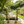 2 Pack Metal Garden Trellis 71