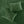 3 Piece Velvet Quilt Set Green Full/Queen