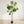 7FT Artificial Fiddle Leaf Fig Tree, Realistic Faux Potted Plant
