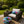 4 Pack Outdoor Lumbar Pillow with Inserts – Tropical Floral
