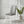 Upholstered Dining Chair With High Back Design (Set of 2)