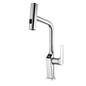 Touchless Kitchen Faucet