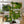 72in Cactus Cat Tree Tall Cat Tower for Indoor Cats