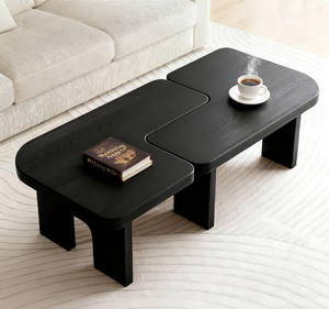 Modern Coffee Table Set