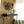 SerethaLeaf Wall Decor - Gold