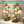 Vase Shape Plant Stand Indoor with Grow Lights