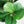 6FT Artificial Fiddle Leaf Fig Tree With Decorative Pot