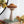 Mushroom Holiday Ornament, For Harvest Festival Fall Festival & Thanksgiving Table Decorations (Set of 2) - Beige / Orange