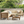 OANA Outdoor Wooden Sectional Set with Cushions, Beige