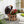 Majestic Eagle with Spread Wings Garden Planter Pot