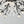 15-Light Chandelier Crystal Ceiling Lamp