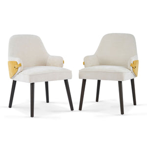 Indoor Dining Chair Set of 2 with Sturdy Frame - Beige / Yellow
