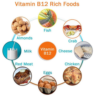 B12 ENERGY