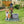 Sitting Akita Dog Planter Garden Decor