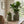 S/2 Iron Milk Jug Planters with Textured Green Finish