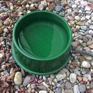Farm Innovators QT 1 25 Watt 1 Qt Electric Heated Pet Water Bowl, Green (3 Pack)