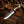 Farrier Rasp Hunting Bowie Knife – 14.5