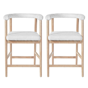 25" Seat Height Bar Stools with Back, Set of 2