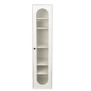 Tall Display Cabinet & Bookshelf with Glass Door
