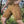 M-Tac Tactical Shorts Conquistador Flex