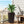 Indoor Outdoor Planter With Automatic Watering System