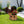 Majestic Eagle Garden Planter Pot on Tree Stump Base