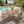 Outdoor 7-Piece Dining Set - Rectangular Teak Wood Table + 6 Wicker Chairs