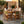 4 Pieces Arly Green Outdoor Bar Stool Set