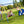 5-in-1 Kids Swing Set with Saucer Swing, Belt Swing, Basketball Hoop & Soccer Goal