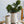 6.3x4.5x7.1' Round Ceramic Pitcher Vase with Multi-Colored Floral Motifs