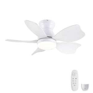 Low Profile Flush Mount Ceiling Fan With Light