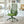 Ergonomic Colorful Office Chair